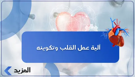 آلية عمل القلب وتكوينه